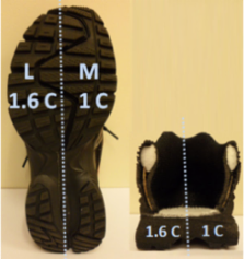 Influence of variable stiffness shoes in sports performance and ...