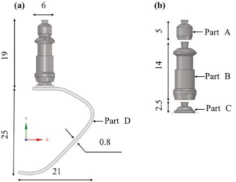 The schematic diagram of prosthetic running blade. (a) Dimensions of the prosthetic running blade (in mm); (b) different parts of the prosthetic.