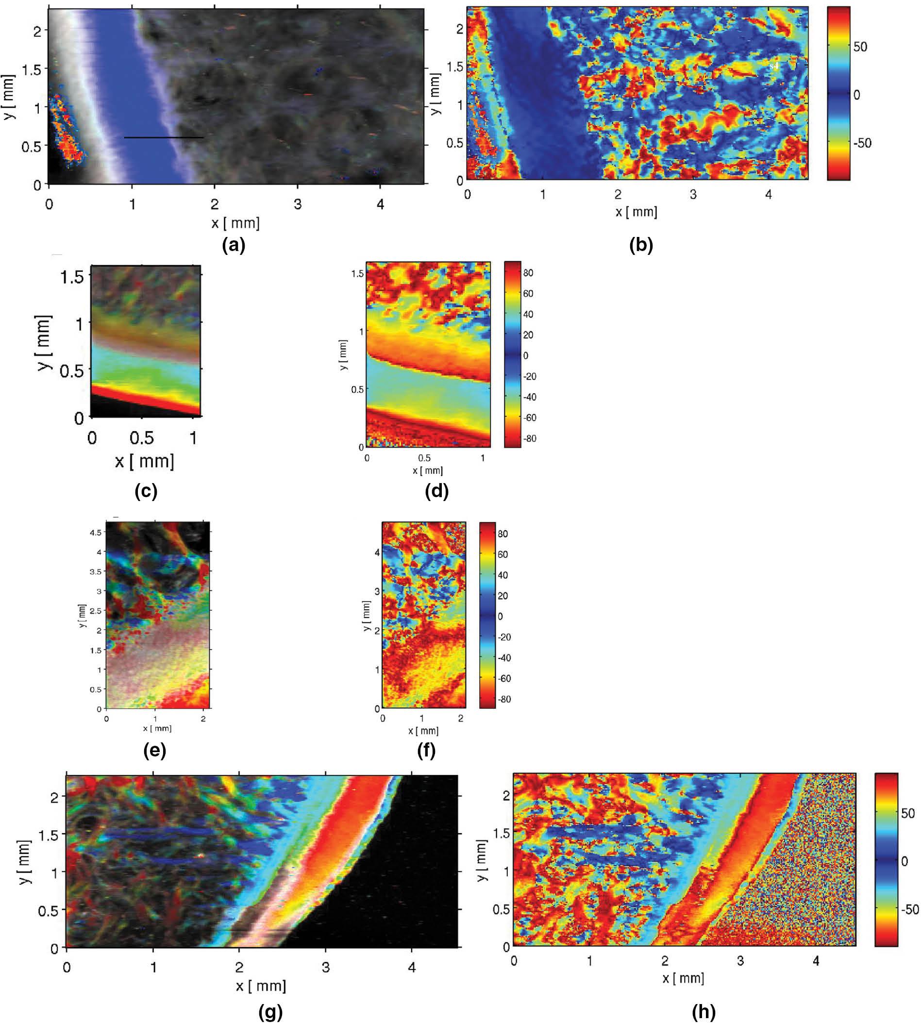 Combined intensity-orientation mapping of collagen fibres at the various sampling points.