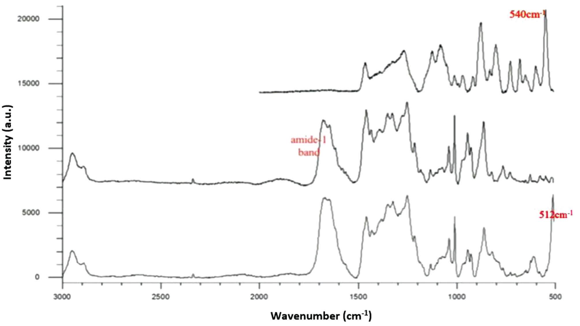 Effect of glycation as observed in Raman spectral analysis.
