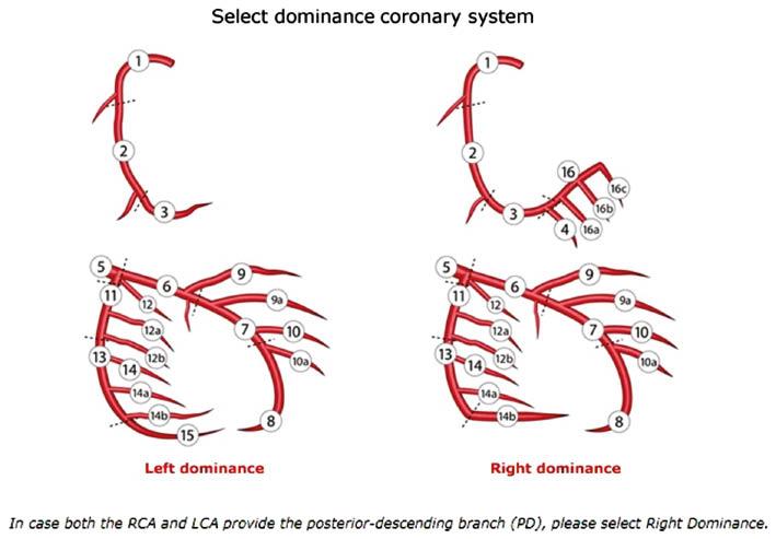 Allí Torpe Desierto The Clinical Value of Syntax Scores in Predicting Coronary Artery Disease  Outcomes – ScienceOpen