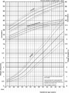 Fenton Preterm Growth Chart Girl