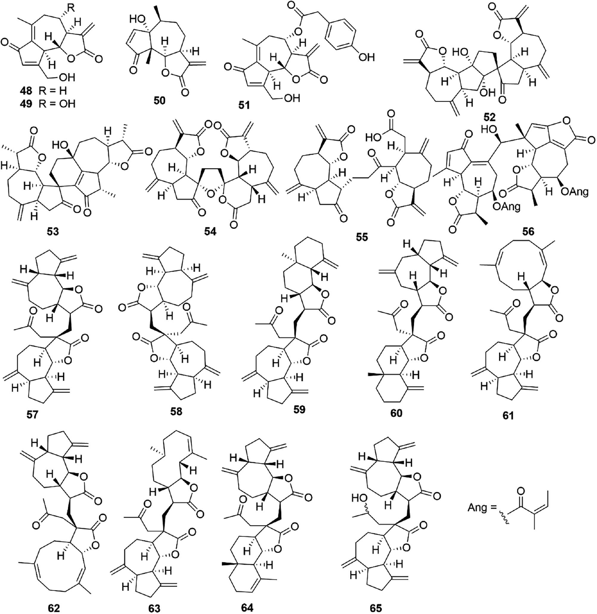 Sesquiterpenoids from the sunflower family as potential anti 